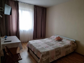 Apartament Eva Navodari